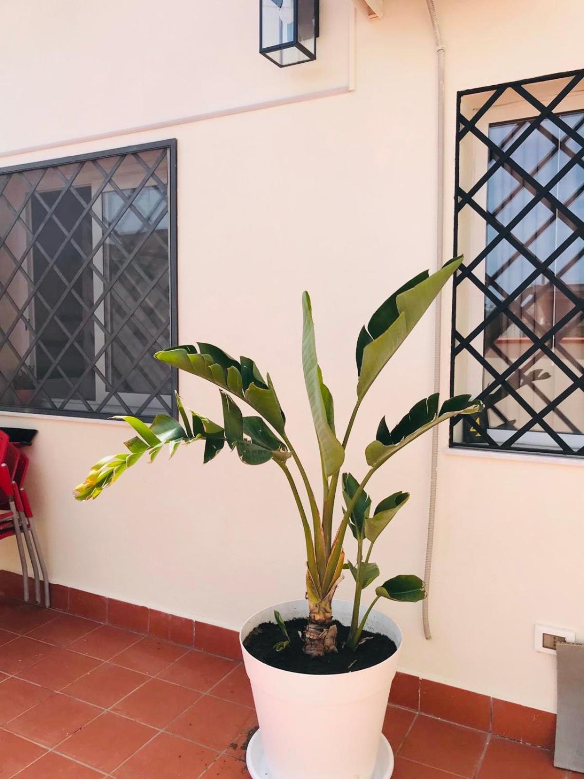 Lavica Di Mezzo Apartments Catania Exteriör bild